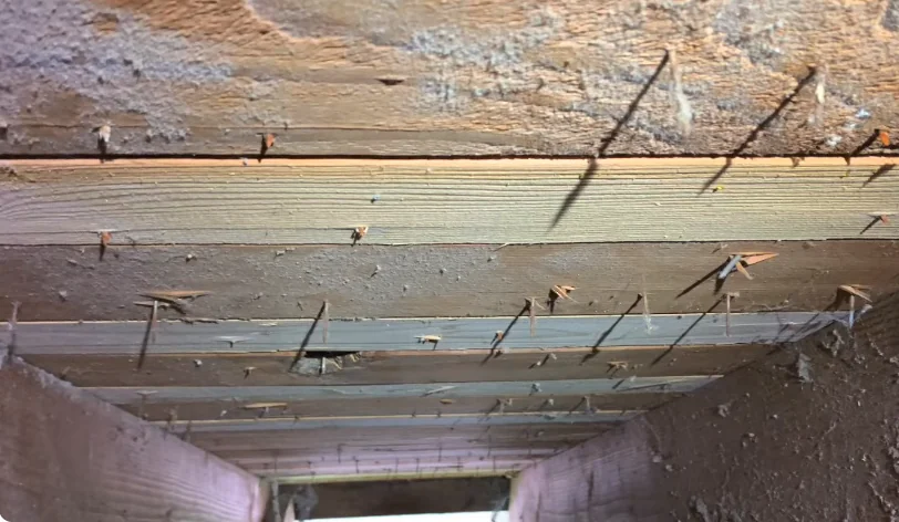 Pipes and wiring under a house subfloor where rodents travel into the walls