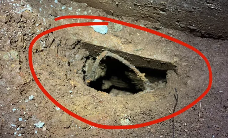 Rat burrow dug into soil next to a house foundation