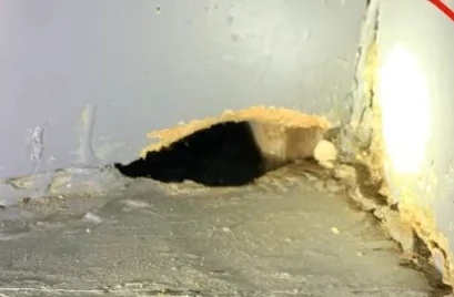Rough gnaw hole chewed through the base of an interior wall by rats