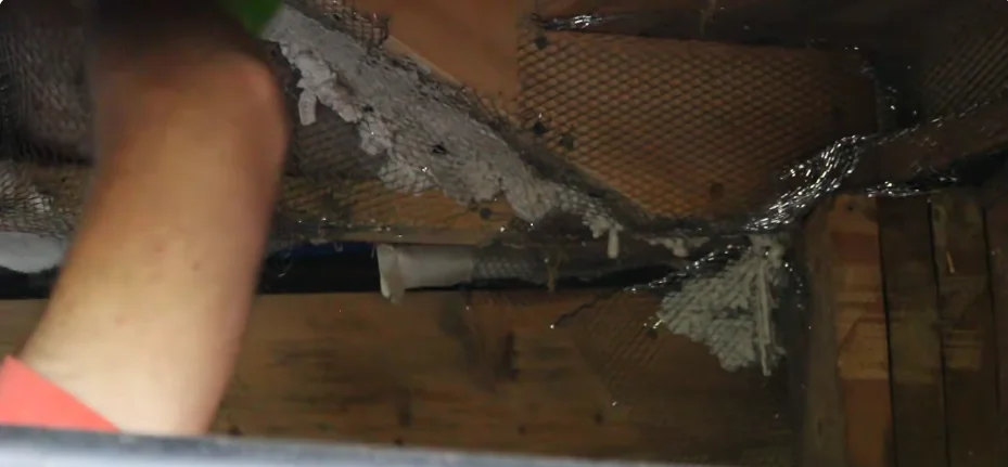 Wire mesh being fitted into a damaged gap along a roofline